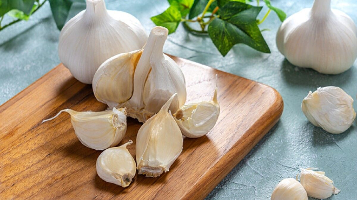 Efek Samping Bawang Putih